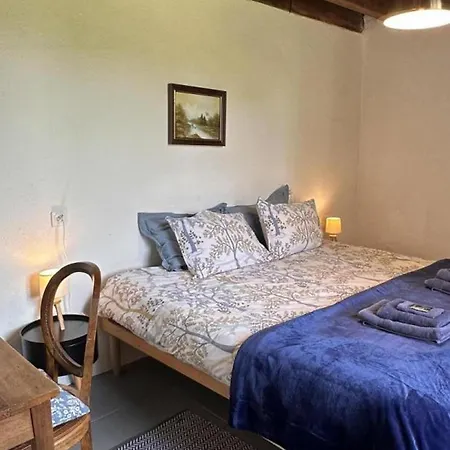 Familial, Animaux Admis - Sejour En Auvergne - Fr-1-489-640 * Saint-Palais (Allier)